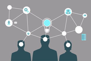 千古貂緣軟件開發農場app模式